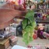 GRAPES FRUIT