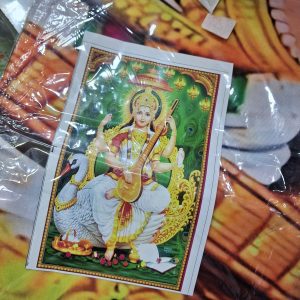 BACKDROP PRINTED 5FEET 8FEET SARASWATI SWAN