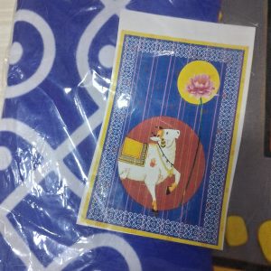 cloth background BACKDROP PRINTED 5FEET 8FEET COW CBLUE BACK