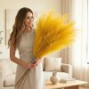 PAMPA GRASS ASSORTED COLOUR BOQUET STICK