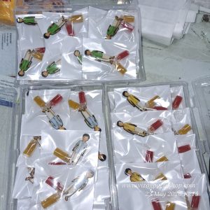 ABBAY MALE BOY MIXED COLOUR -- MDF ABB MIX 20P— MANUFACTURER PASUPU HALDI KUMKUM