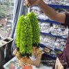 Gajra with bell – green (10 inch each )(Set of 10pcs) — FLOWERLINES FLOWER LINE GARLANDS