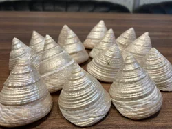 6 PC PER PACK - MOTI SHANK - GOPURAM GAVVALU SHELLS – POOJA ESSENTIALS VARALAKSHMI VARALAXMI OR ANY POOJA VRATAM