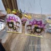 ELEPHANT - 8 INCH SET OF 2 PCS – WOOD MDF KGF PROPS