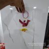 2 PC PER PACK – TAATIAAKU PARROT HANGING
