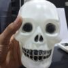 6 INCH - LED SHOW SKULL