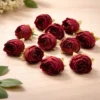 20 PC PER PACK - LOOSE PEONY HEAD FLOWERS