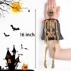 ASSORTED MODELS OF 12 TO 16 INCH SKELETONS