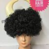 WIGS WITH HORNS