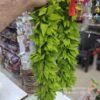 TORAN TRN TULASI 3FT bamboo TULSI mala