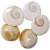 Gomati Chakram - – POOJA ESSENTIALS VARALAKSHMI VARALAXMI OR ANY POOJA VRATAM