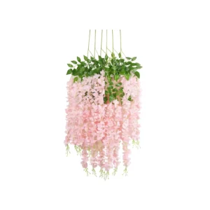 WISTERIA PEACH PINKISH 12PC PER PACK (HF WIS 12P PE 6)