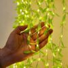 Led Leaf Lights Curtain Lamps - Warm White