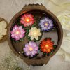 LED Floating Lotus 6pc - Assorted
