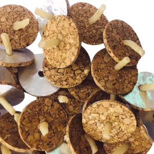 Peda Vattulu Jalavatti 40pcs - (Cow dung wicks)