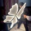 LED BUTTERFLY