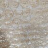 Floral Peach Roses Backdrop Cloth - Party Cloths