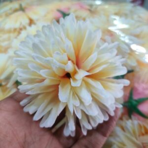 Star Flowers Ganesh Pooja Special – All Colors