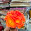 Carnition Flowers Ganesh Pooja Special – All Colors