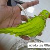 Parrots Cloth Velvet Hangings 12"inch - (Set of 5pcs) ramachilakalu PEARL latkan