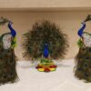 Peacock Plate Decoration Peacocks - 1pcs