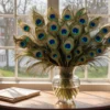 Peacock Feathers - (Shedded, Cruelty-Free)