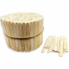 DIY Ice Cream Wooden Sticks - 500pcs