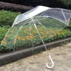 Transparent Umbrella